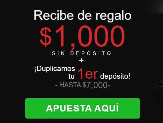 Paso 1: Elige tus productos