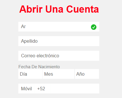 Paso 3: Ingresa todos los datos que te solicita
