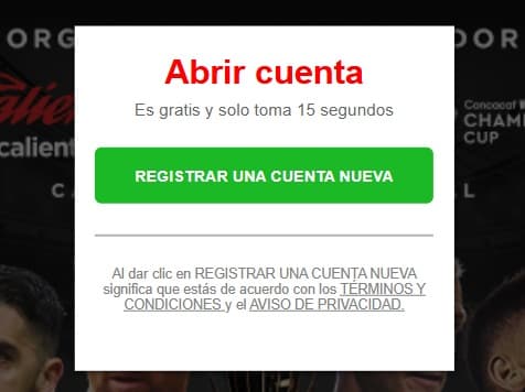 Paso 2: Abre el checkout
