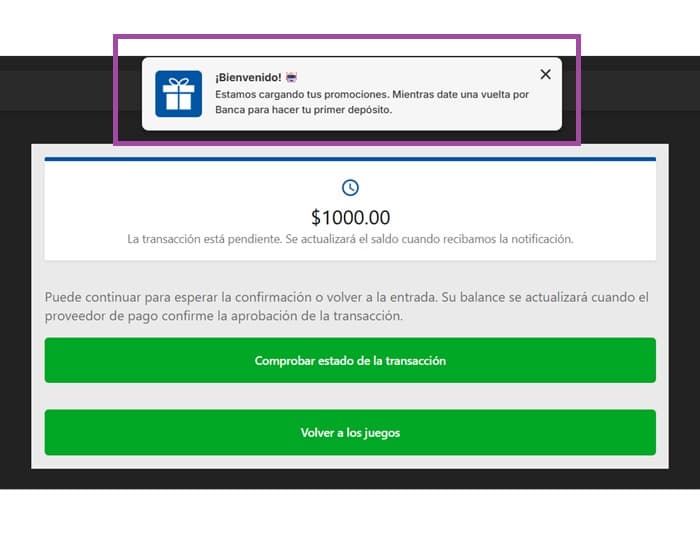 Paso 5: Confirma el descuento