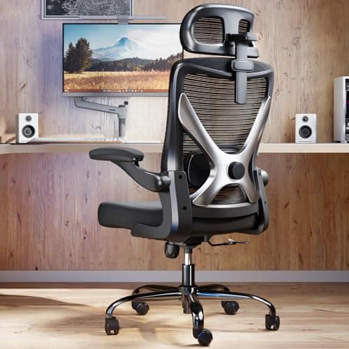 Ergalithic Silla de Oficina ergonómica en Forma de, cómoda, Silla de Juegos, Silla de Oficina con Soporte Lumbar, sillas de Oficina de Malla con reposacabezas, Silla de computadora para (Negro-Plata)